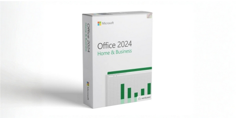 Office Home and Business 2024